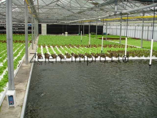 Hydroponics